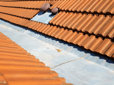 About Leaking Skylight Repair Pros Triumph, IL